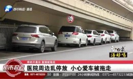 河南都市网爆料最新消息,揭秘重大事件背后真相！